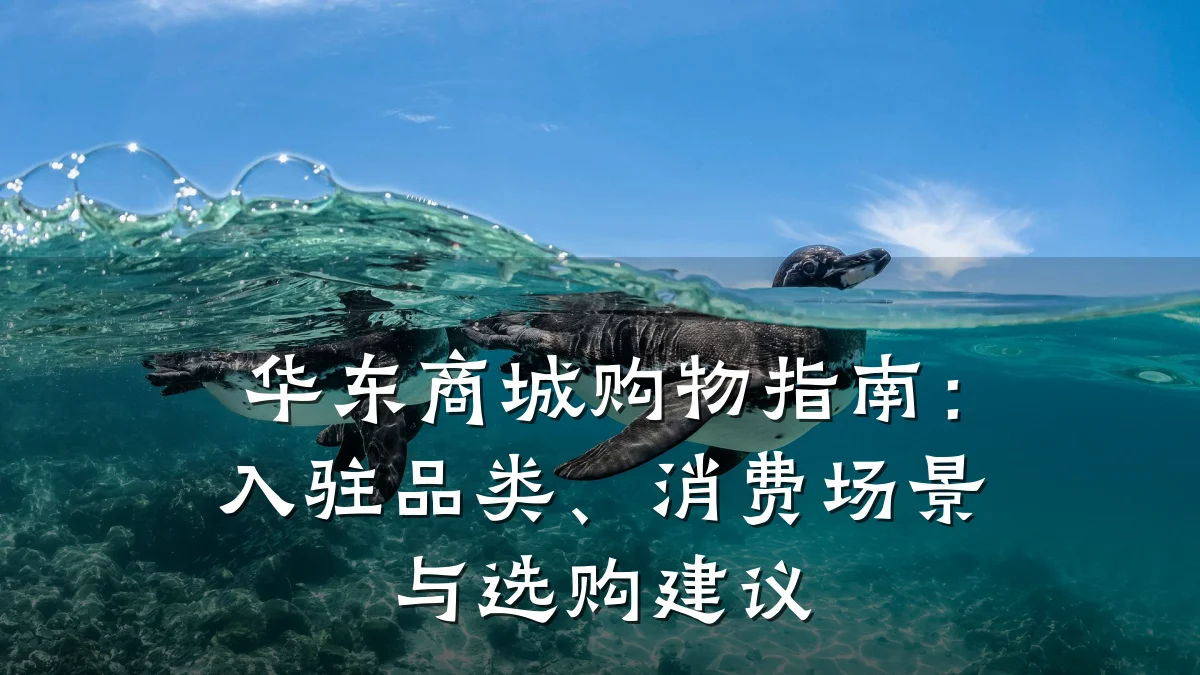 华东商城购物指南:入驻品类、消费场景与选购建议