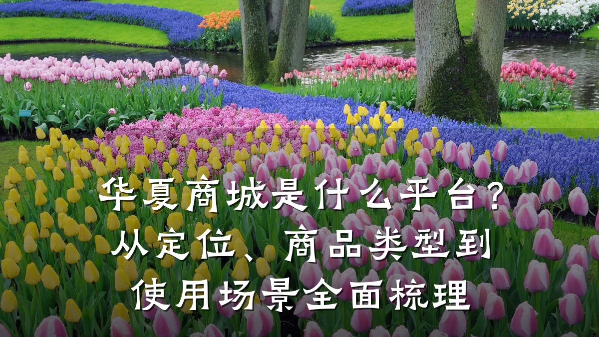 华夏商城是什么平台?从定位、商品类型到使用场景全面梳理