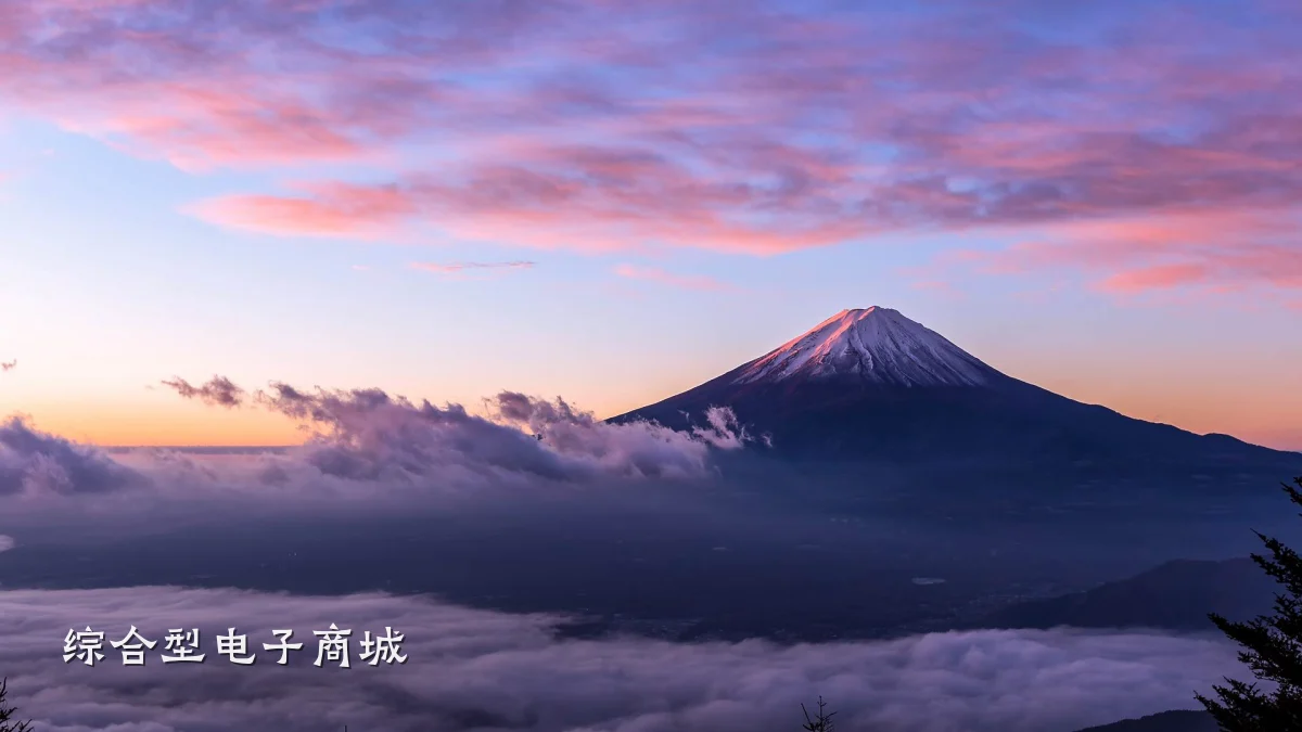 综合型电子商城
