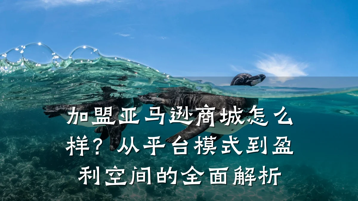 加盟亚马逊商城怎么样?从平台模式到盈利空间的全面解析