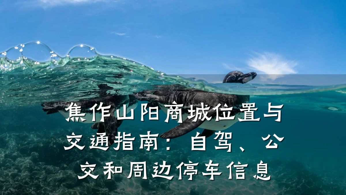 焦作山阳商城位置与交通指南:自驾、公交和周边停车信息
