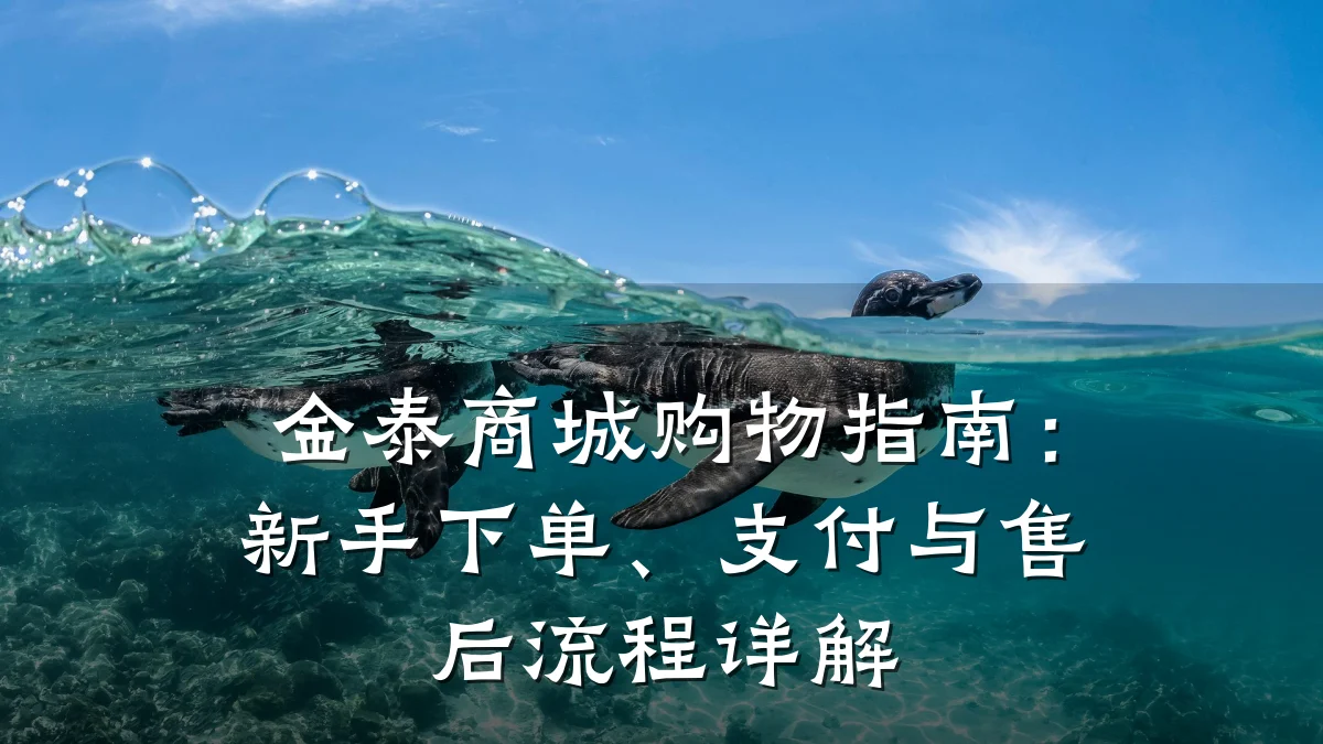 金泰商城购物指南:新手下单、支付与售后流程详解