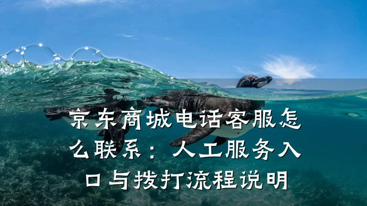 京东商城电话客服怎么联系:人工服务入口与拨打流程说明
