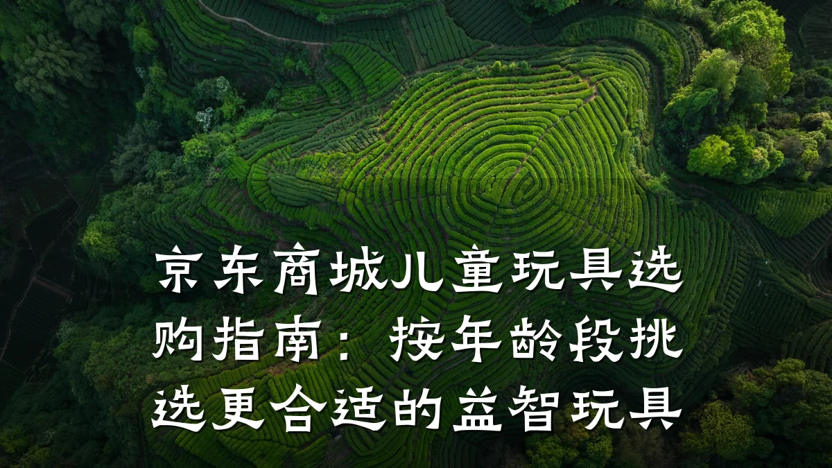 京东商城儿童玩具选购指南：按年龄段挑选更合适的益智玩具