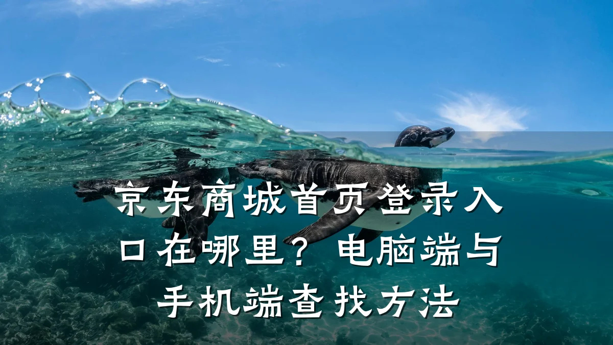 京东商城首页登录入口在哪里?电脑端与手机端查找方法