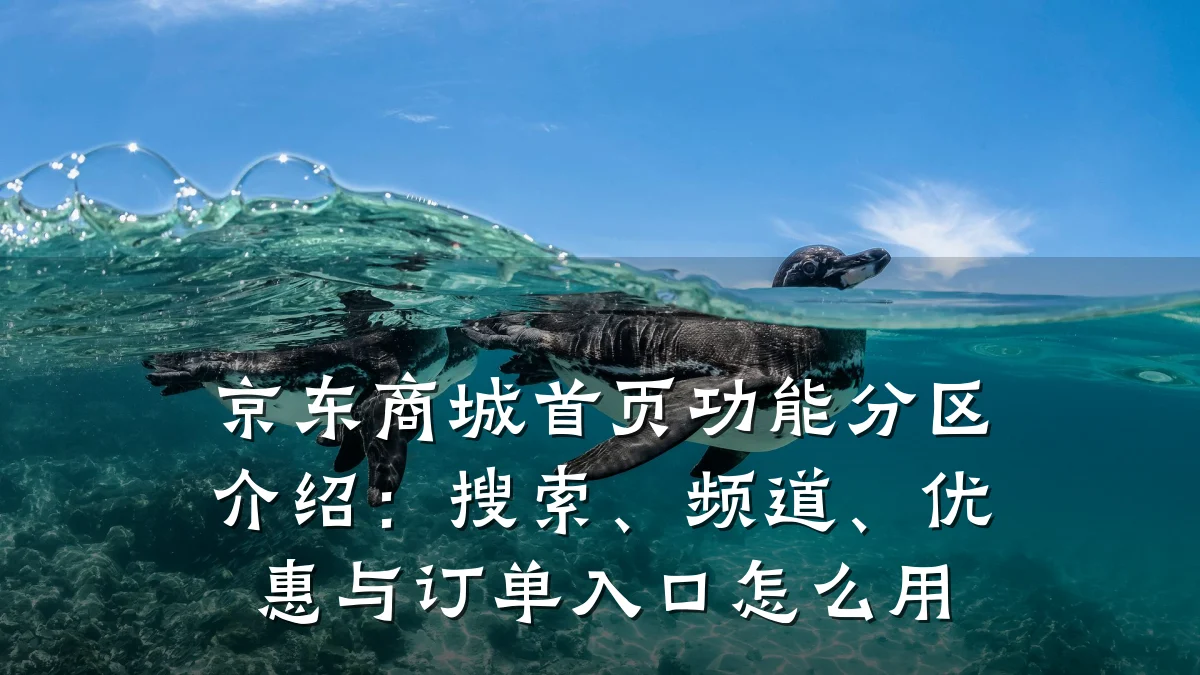 京东商城首页功能分区介绍:搜索、频道、优惠与订单入口怎么用