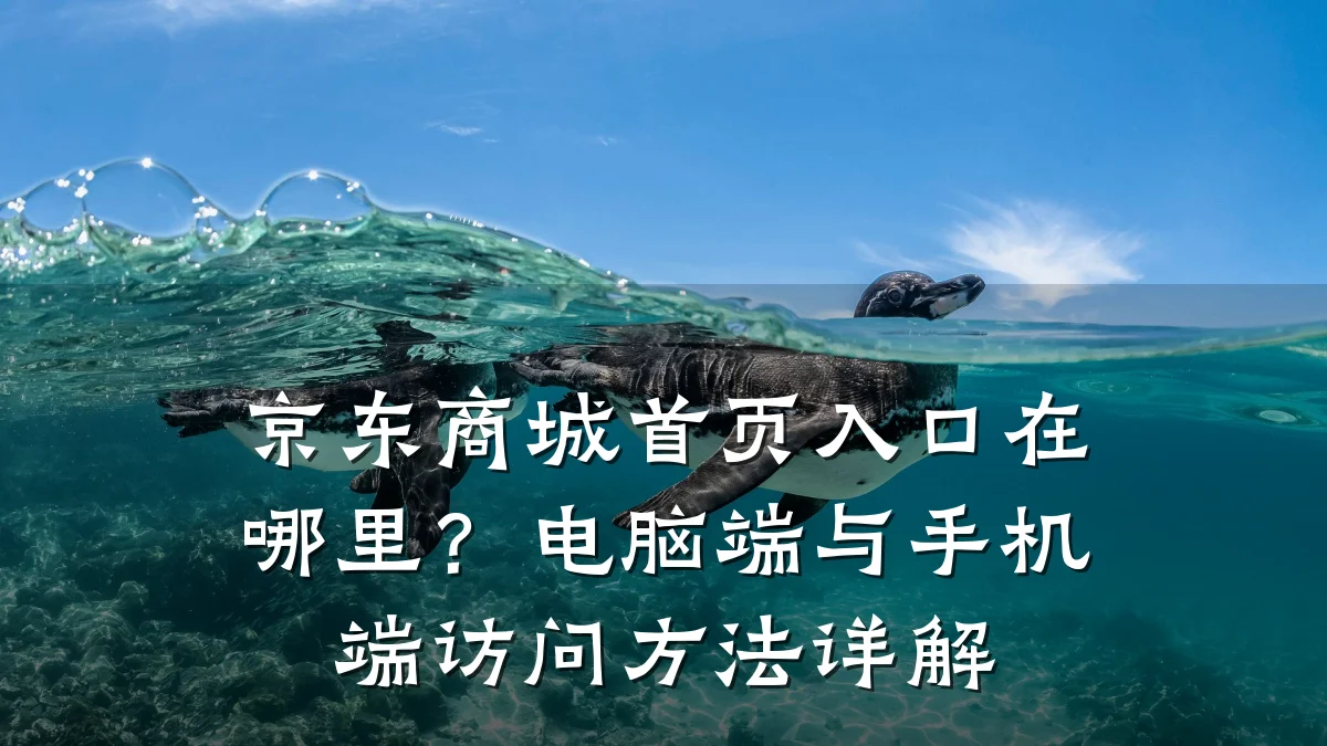 京东商城首页入口在哪里？电脑端与手机端访问方法详解