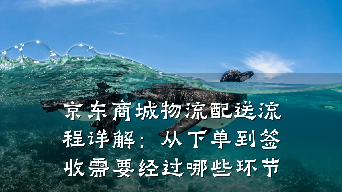京东商城物流配送流程详解:从下单到签收需要经过哪些环节