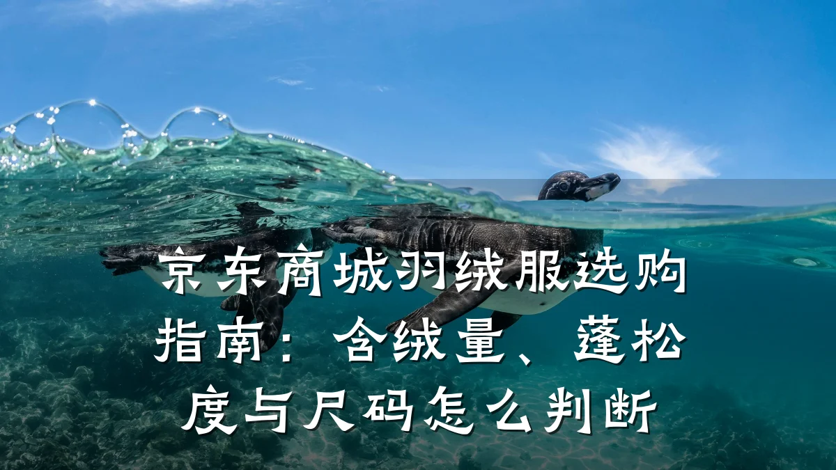 京东商城羽绒服选购指南：含绒量、蓬松度与尺码怎么判断