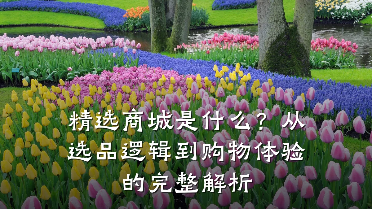 精选商城是什么?从选品逻辑到购物体验的完整解析