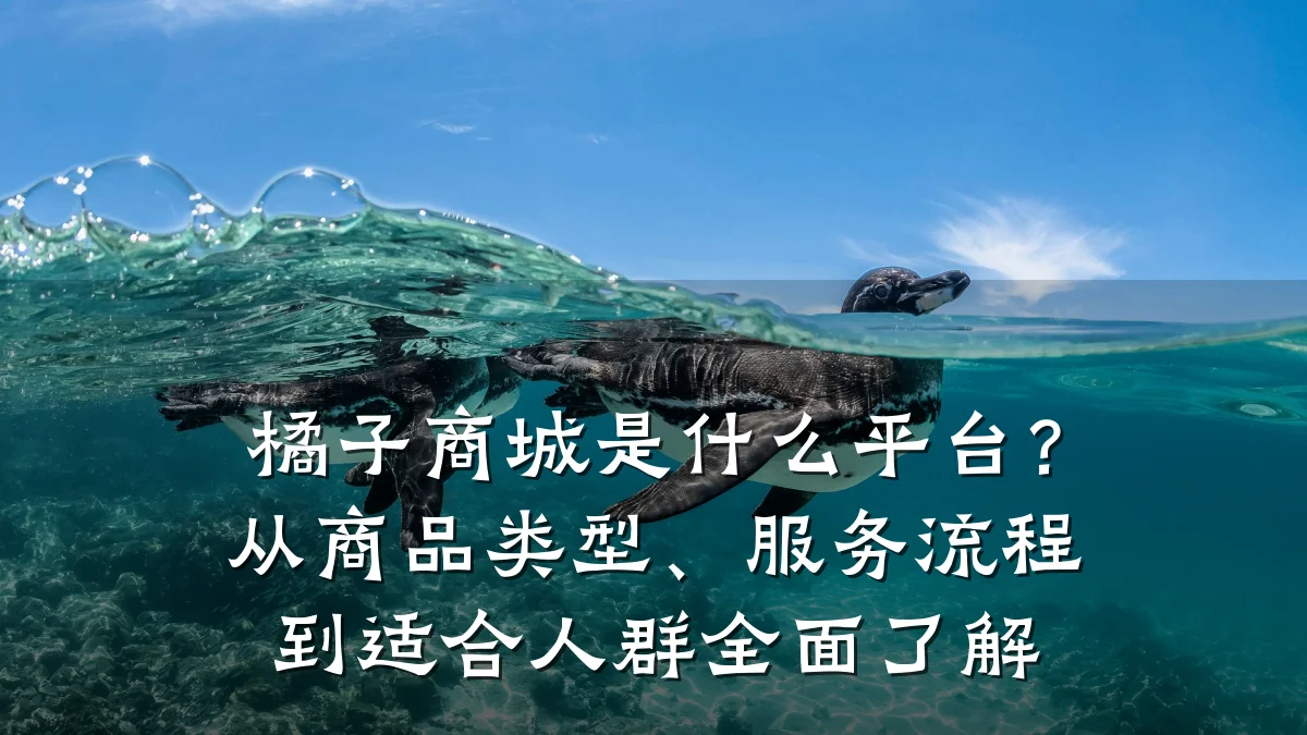 橘子商城是什么平台?从商品类型、服务流程到适合人群全面了解
