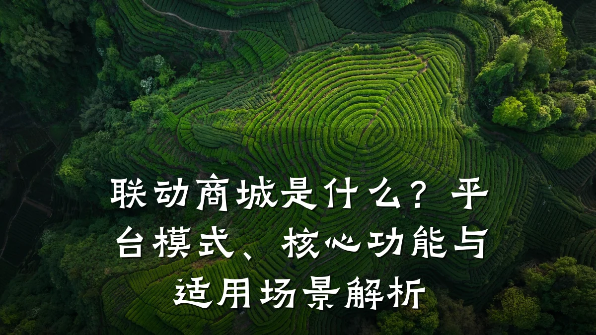 联动商城是什么?平台模式、核心功能与适用场景解析