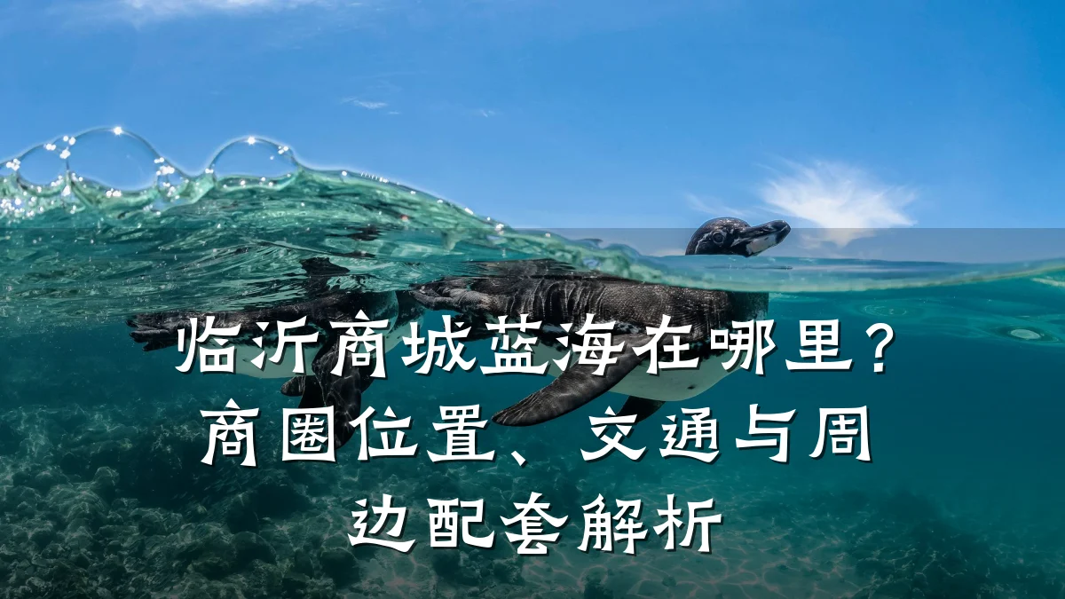 临沂商城蓝海在哪里?商圈位置、交通与周边配套解析