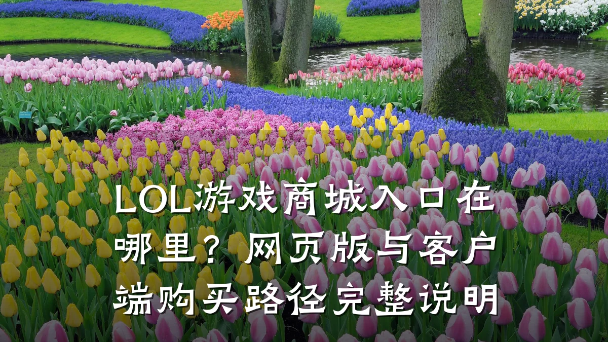 LOL游戏商城入口在哪里？网页版与客户端购买路径完整说明