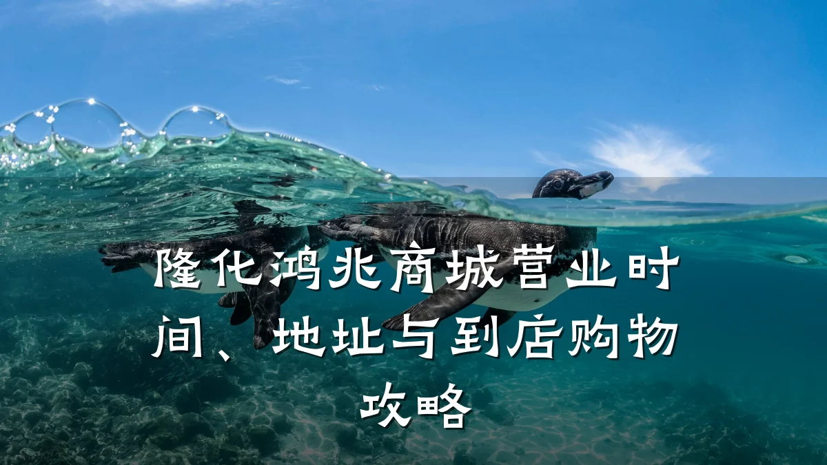 隆化鸿兆商城营业时间、地址与到店购物攻略