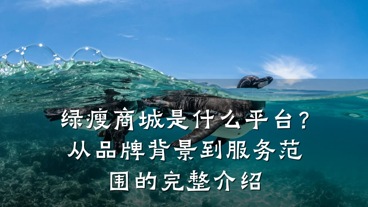 绿瘦商城是什么平台?从品牌背景到服务范围的完整介绍
