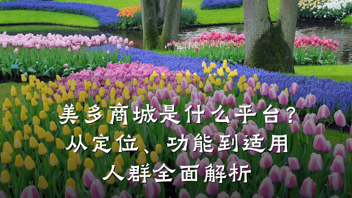 美多商城是什么平台?从定位、功能到适用人群全面解析