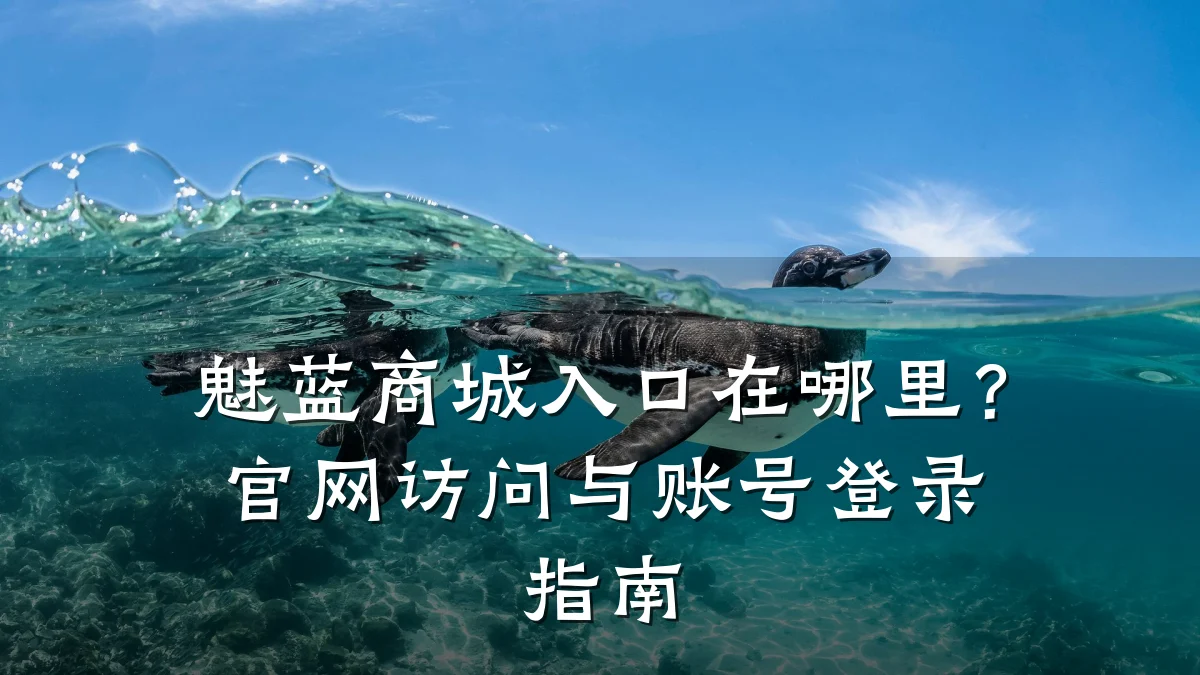 魅蓝商城入口在哪里?官网访问与账号登录指南