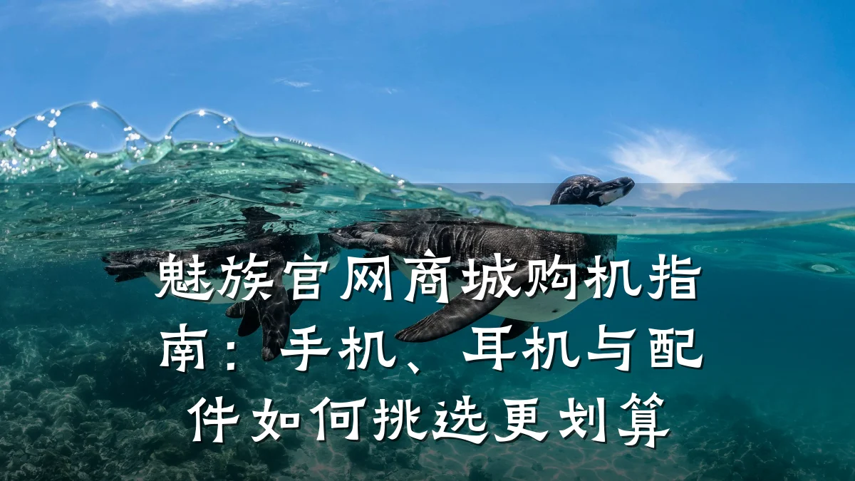 魅族官网商城购机指南：手机、耳机与配件如何挑选更划算