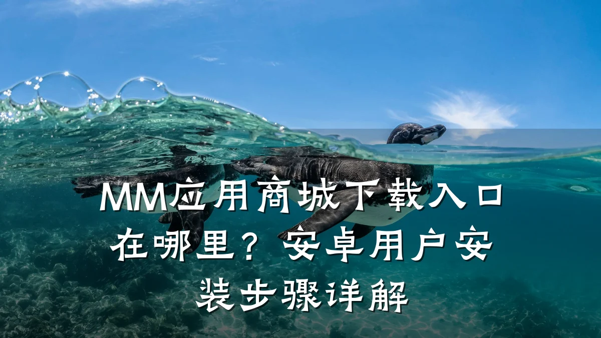 MM应用商城下载入口在哪里？安卓用户安装步骤详解