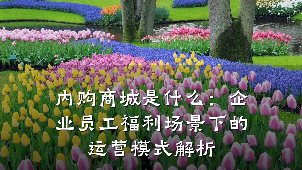 内购商城是什么:企业员工福利场景下的运营模式解析