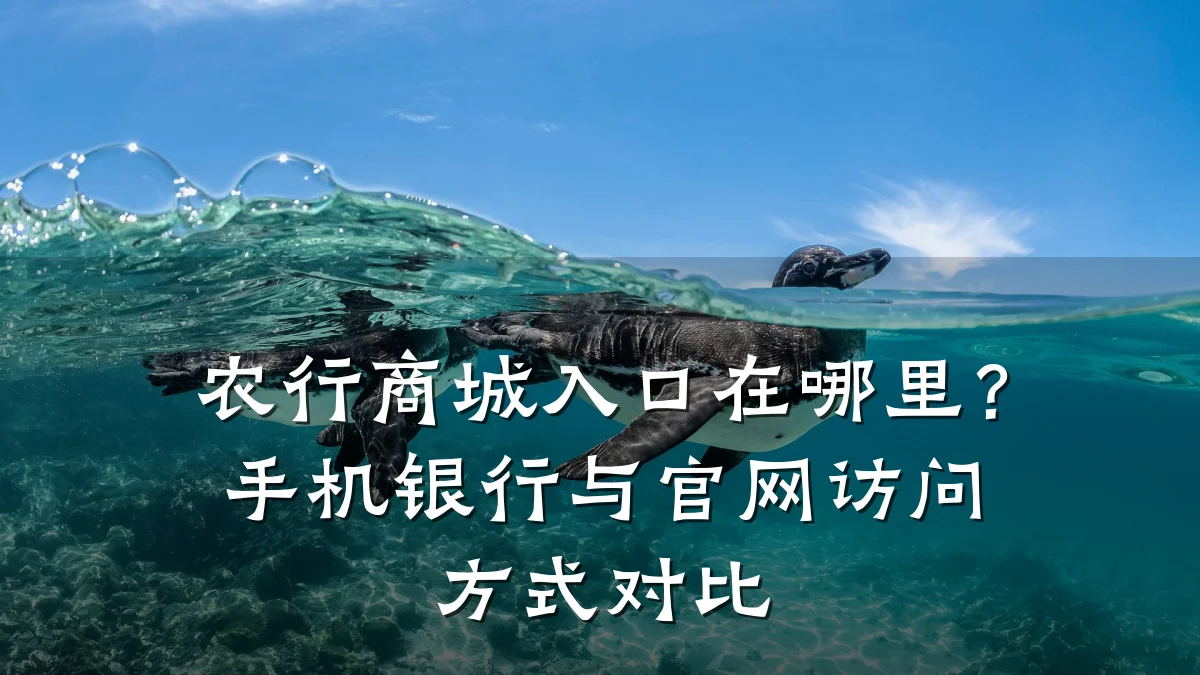 农行商城入口在哪里?手机银行与官网访问方式对比