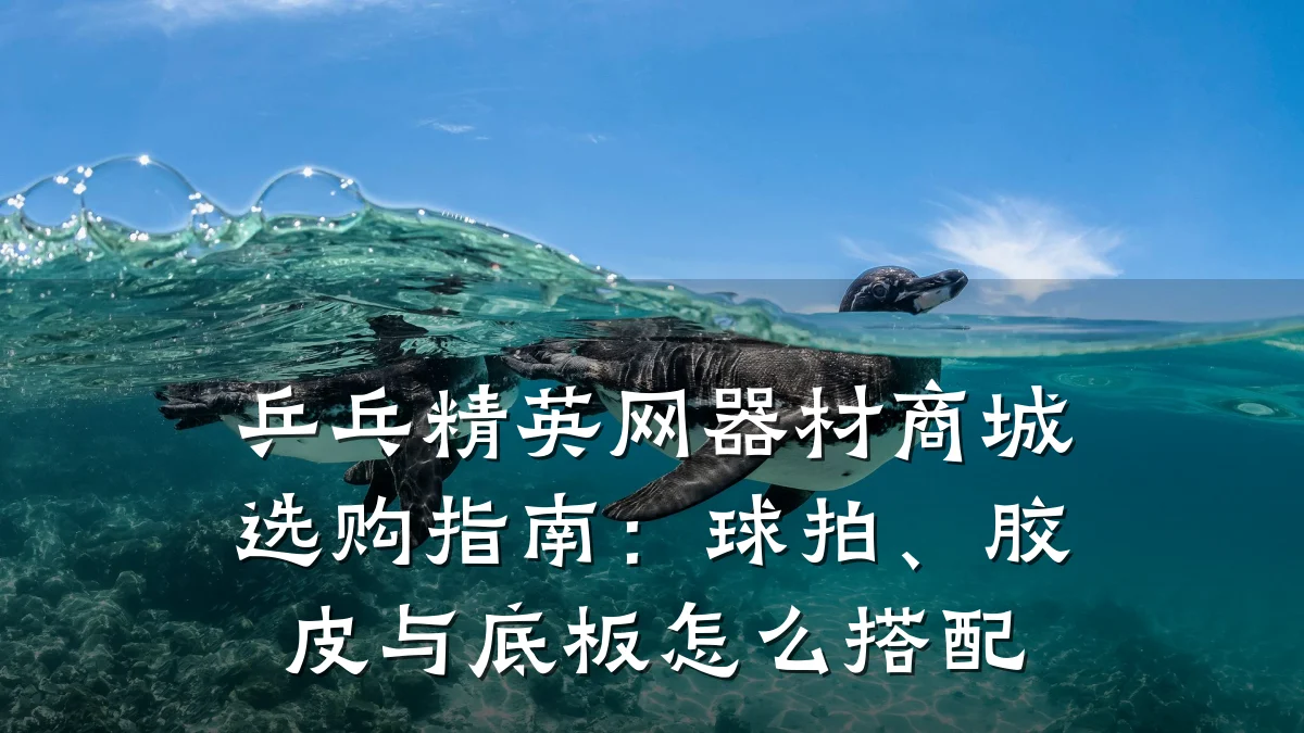 乒乓精英网器材商城选购指南:球拍、胶皮与底板怎么搭配