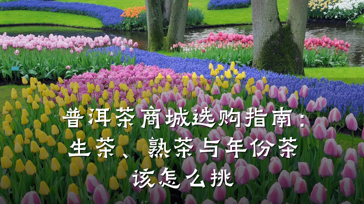普洱茶商城选购指南：生茶、熟茶与年份茶该怎么挑
