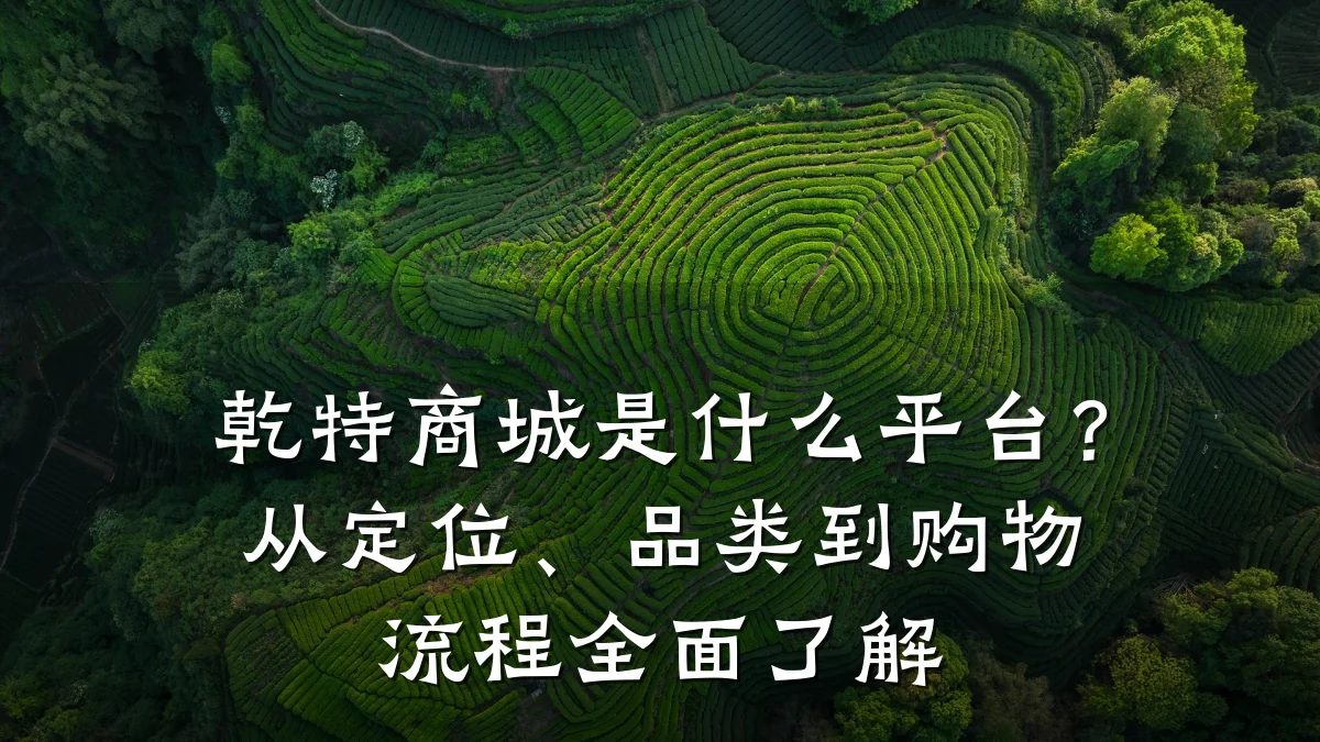 乾特商城是什么平台?从定位、品类到购物流程全面了解