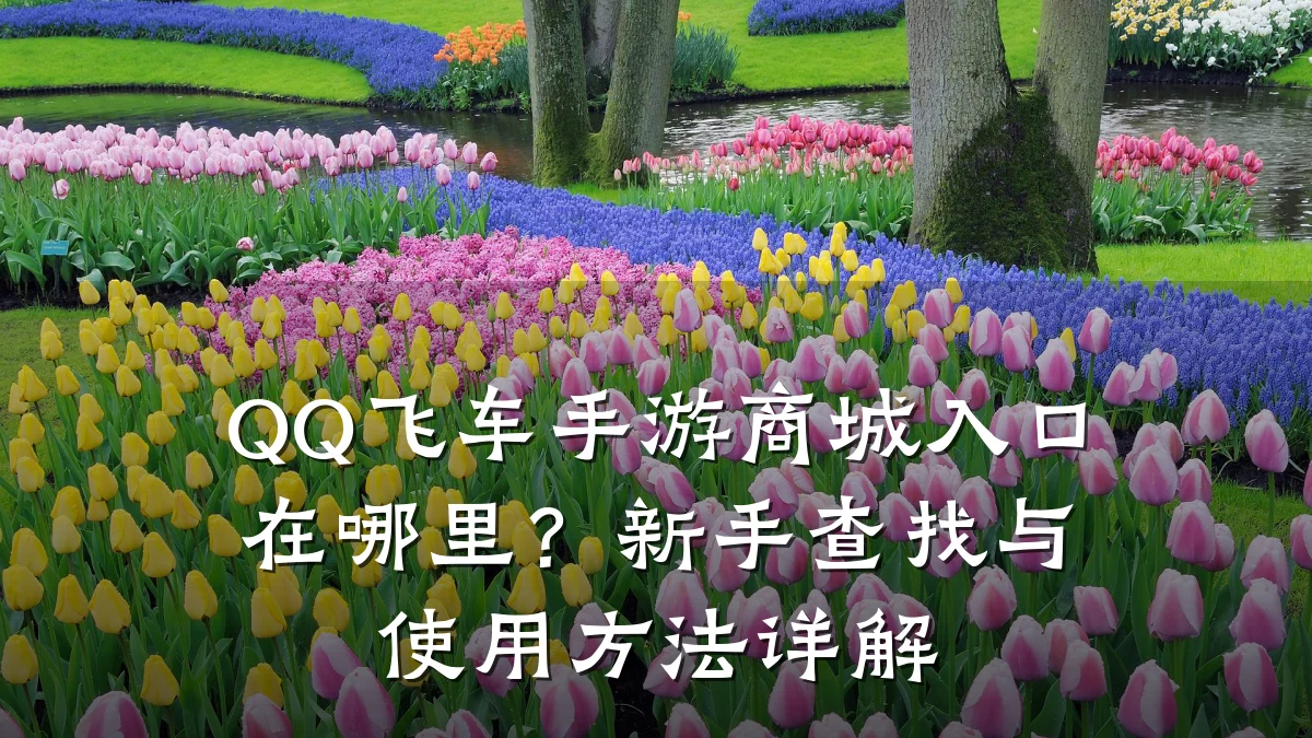 QQ飞车手游商城入口在哪里？新手查找与使用方法详解