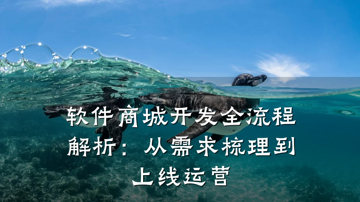 软件商城开发全流程解析:从需求梳理到上线运营