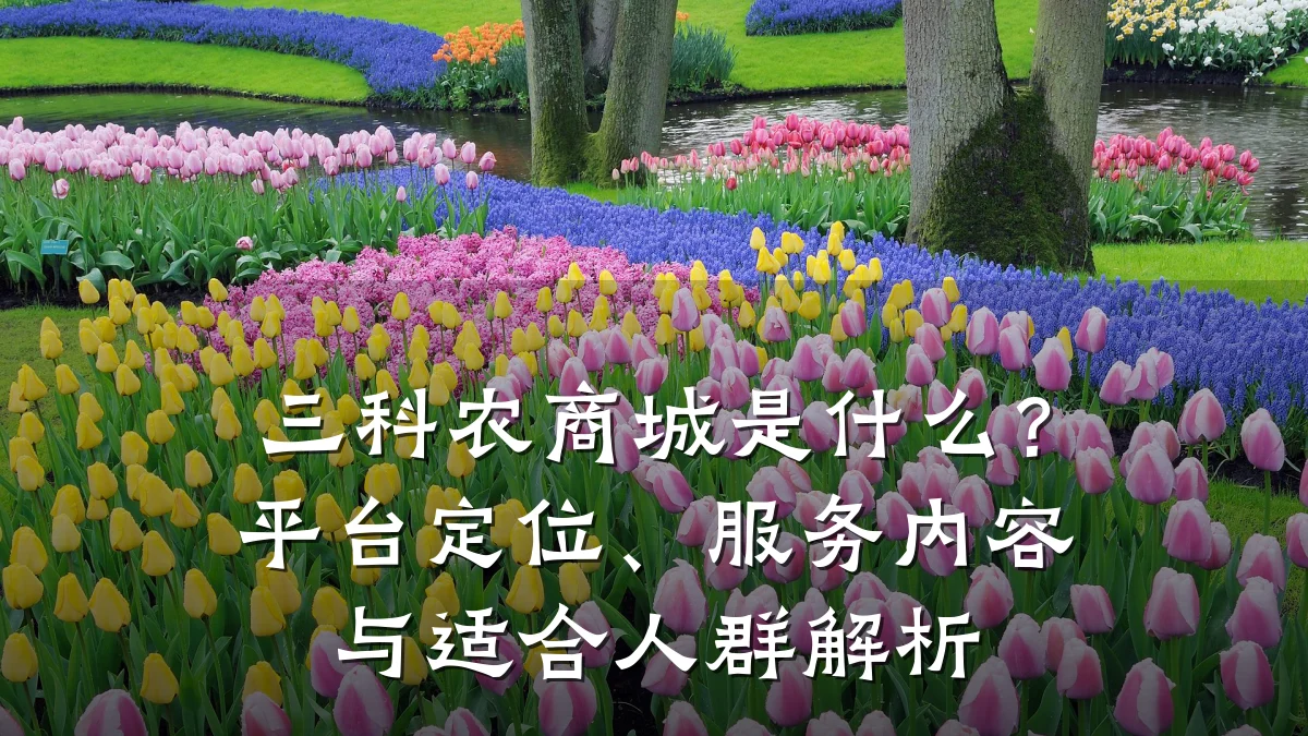 三科农商城是什么?平台定位、服务内容与适合人群解析