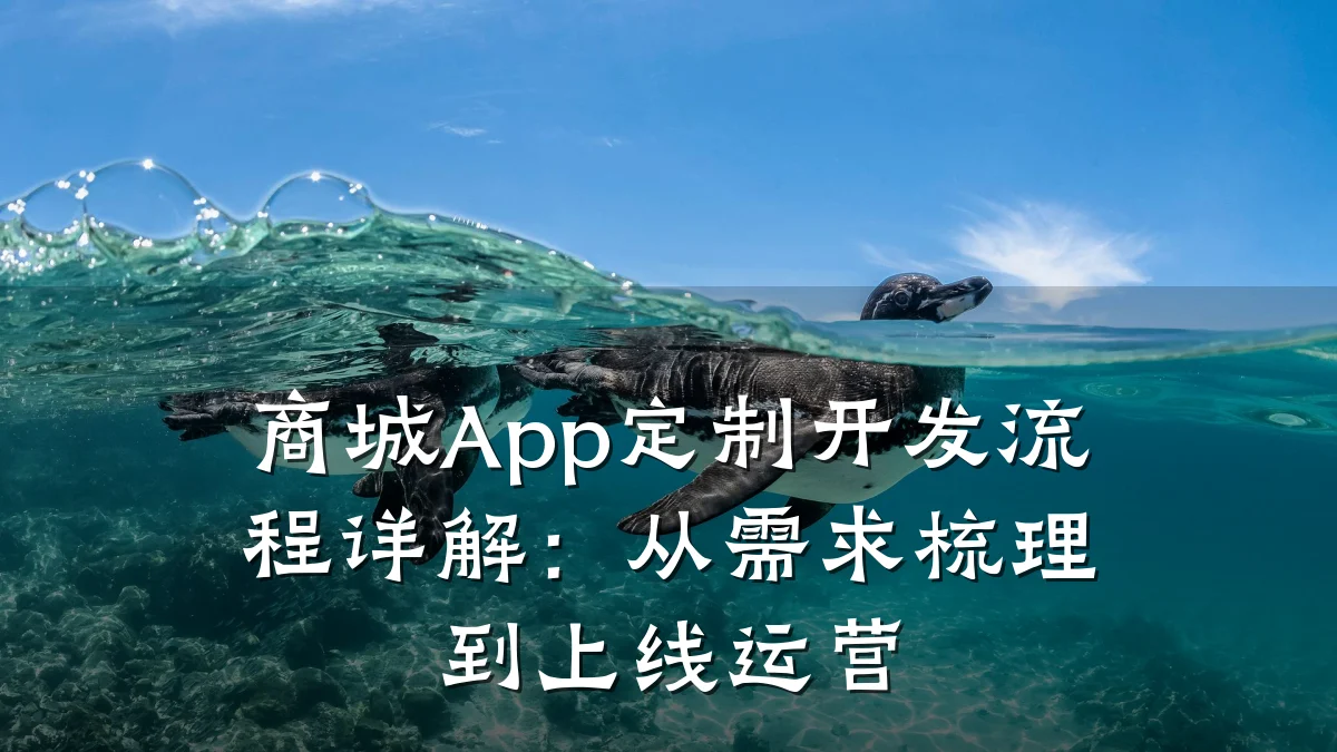 商城App定制开发流程详解:从需求梳理到上线运营