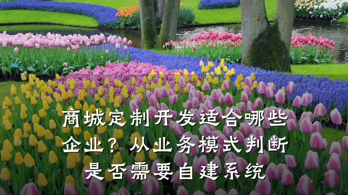 商城定制开发适合哪些企业?从业务模式判断是否需要自建系统