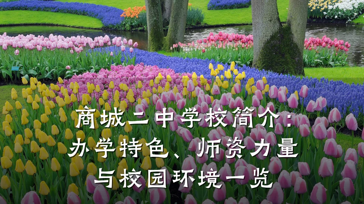 商城二中学校简介:办学特色、师资力量与校园环境一览