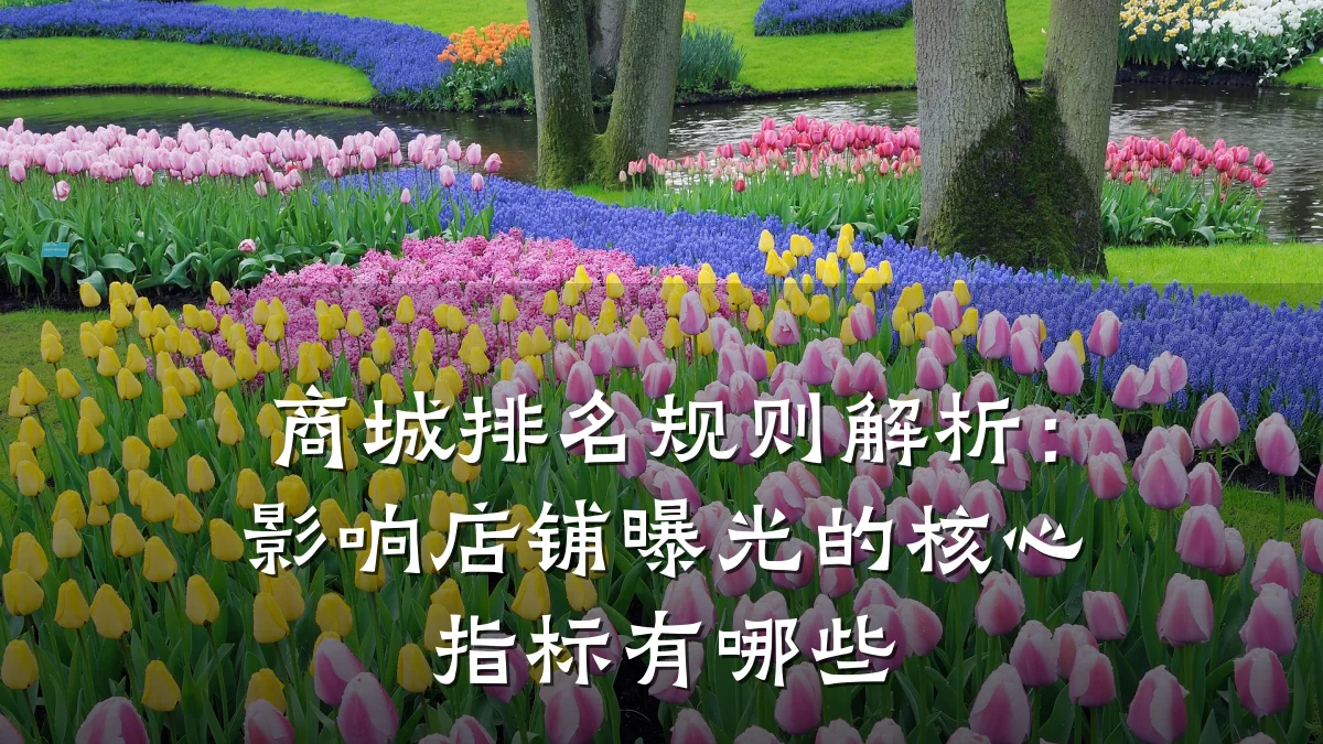 商城排名规则解析：影响店铺曝光的核心指标有哪些