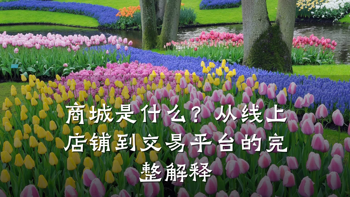 商城是什么?从线上店铺到交易平台的完整解释
