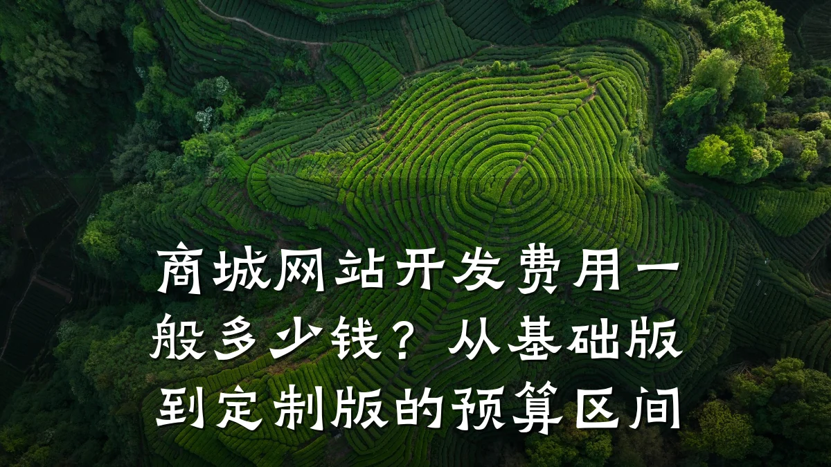 商城网站开发费用一般多少钱?从基础版到定制版的预算区间
