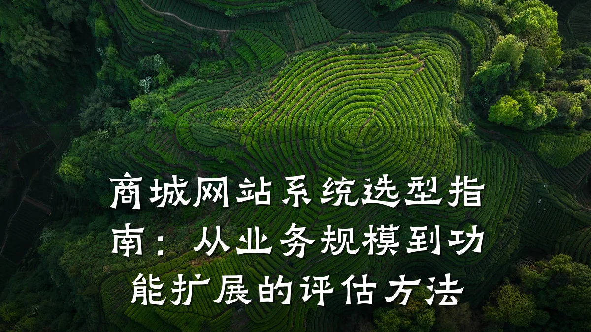 商城网站系统选型指南:从业务规模到功能扩展的评估方法