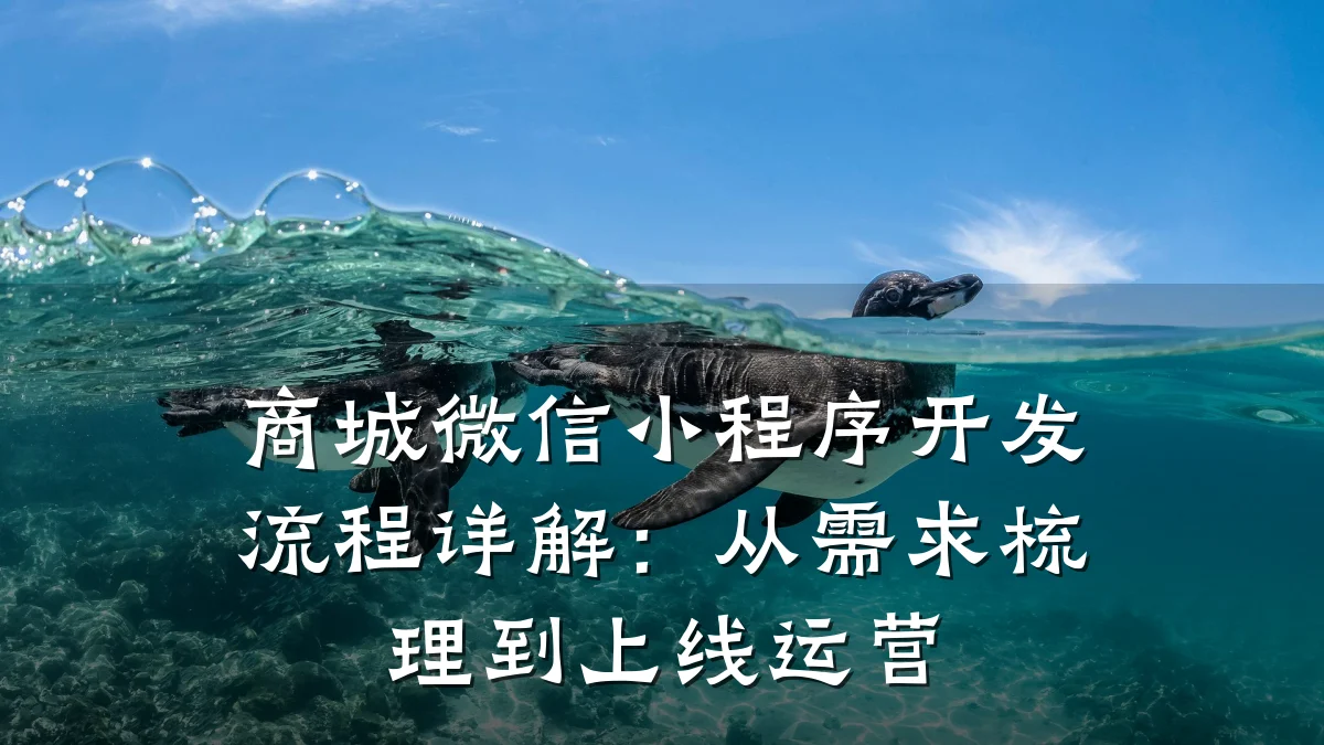 商城微信小程序开发流程详解：从需求梳理到上线运营