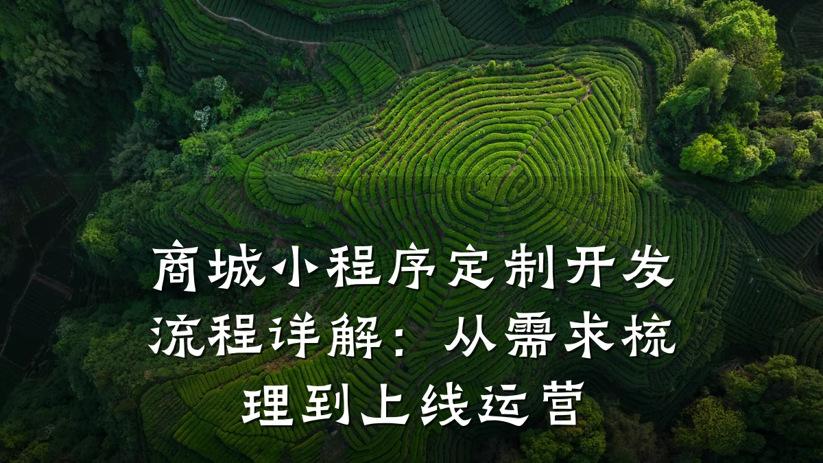 商城小程序定制开发流程详解：从需求梳理到上线运营