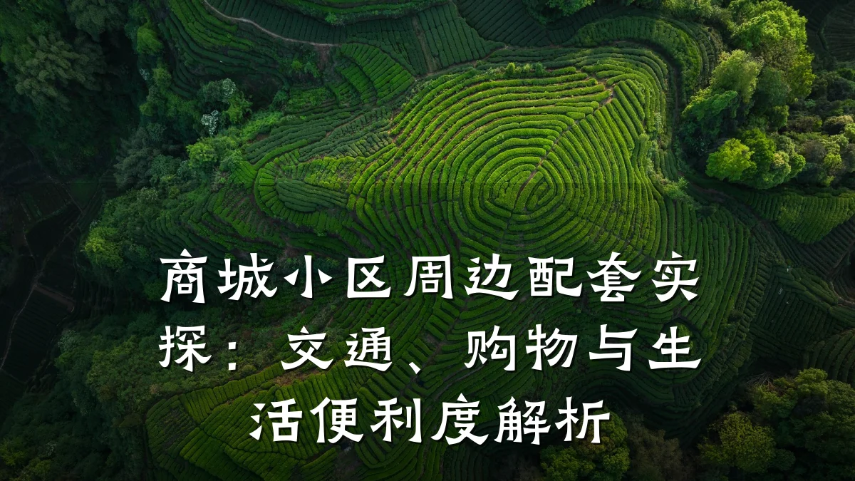 商城小区周边配套实探：交通、购物与生活便利度解析