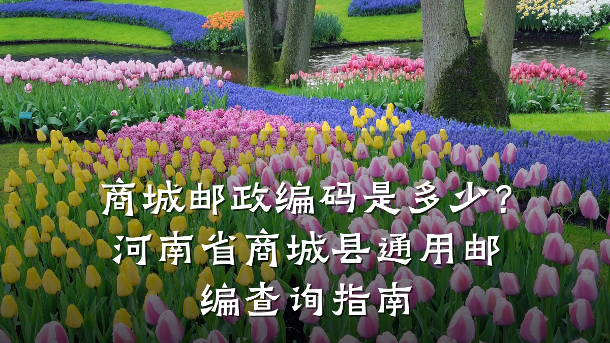 商城邮政编码是多少？河南省商城县通用邮编查询指南
