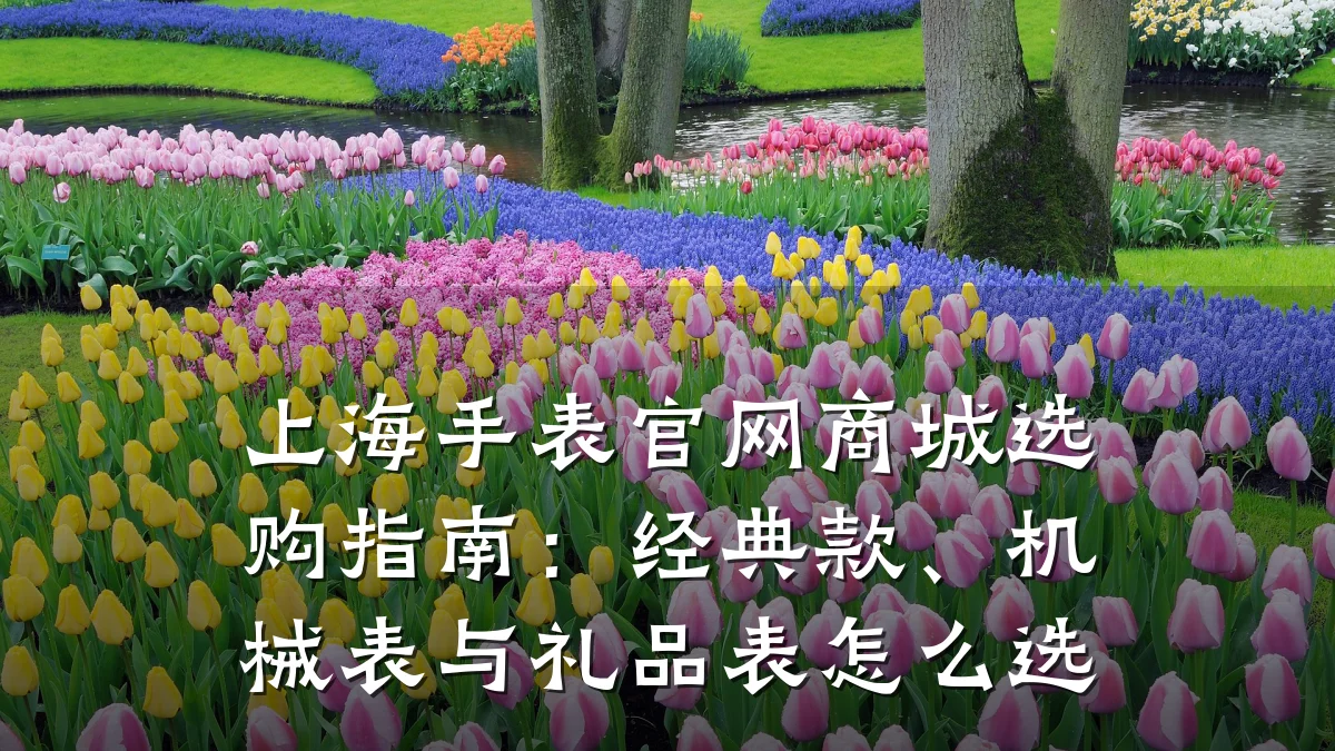 上海手表官网商城选购指南：经典款、机械表与礼品表怎么选