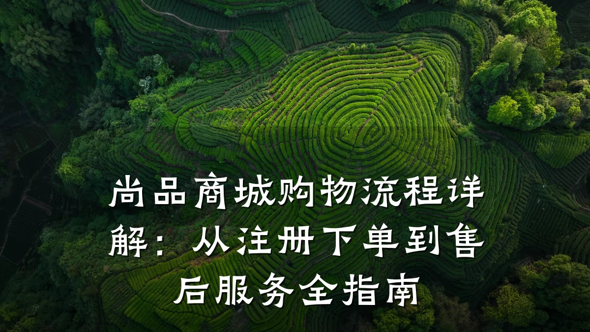 尚品商城购物流程详解：从注册下单到售后服务全指南