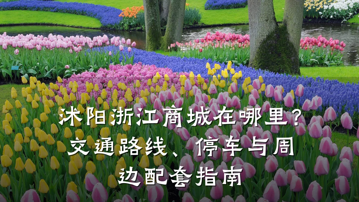 沭阳浙江商城在哪里?交通路线、停车与周边配套指南