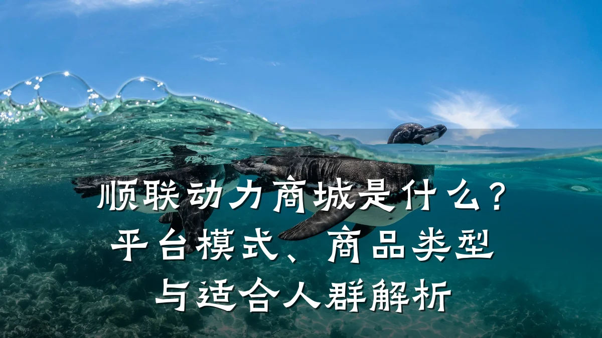 顺联动力商城是什么?平台模式、商品类型与适合人群解析
