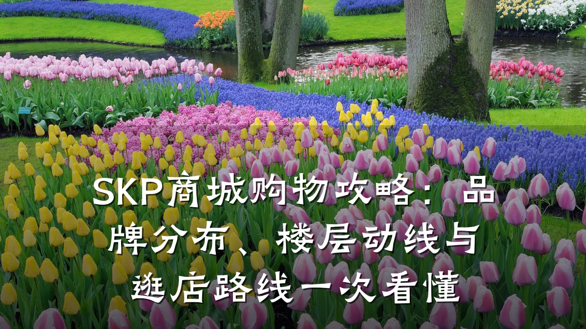 SKP商城购物攻略：品牌分布、楼层动线与逛店路线一次看懂