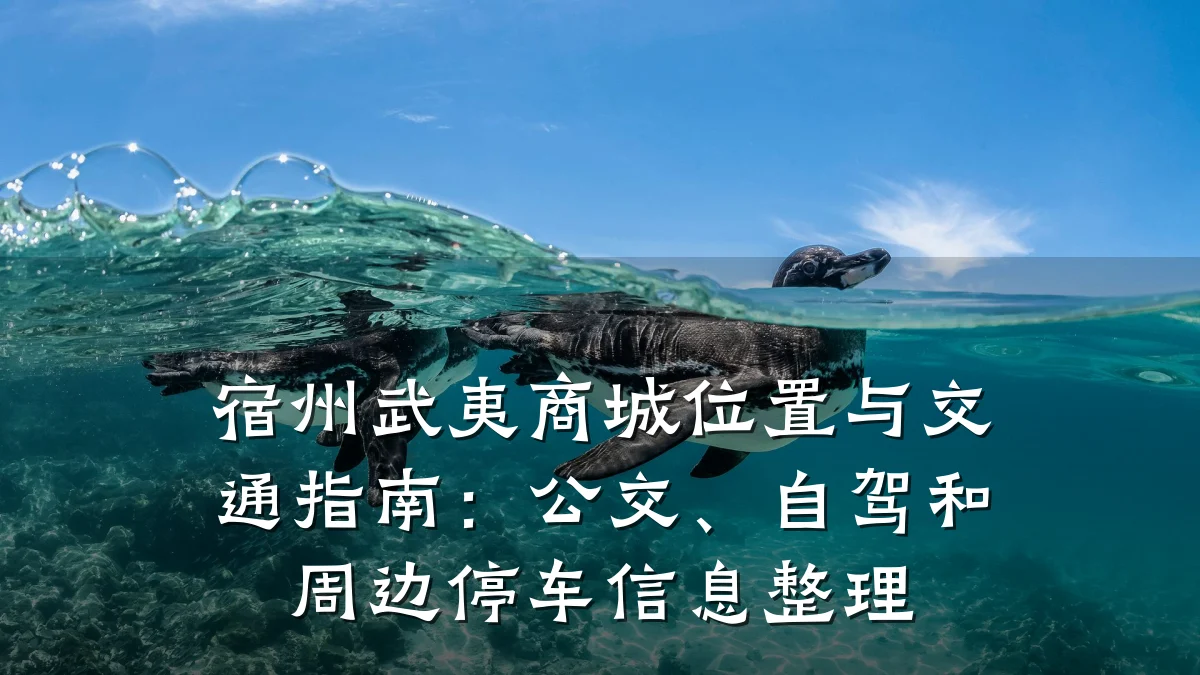 宿州武夷商城位置与交通指南:公交、自驾和周边停车信息整理