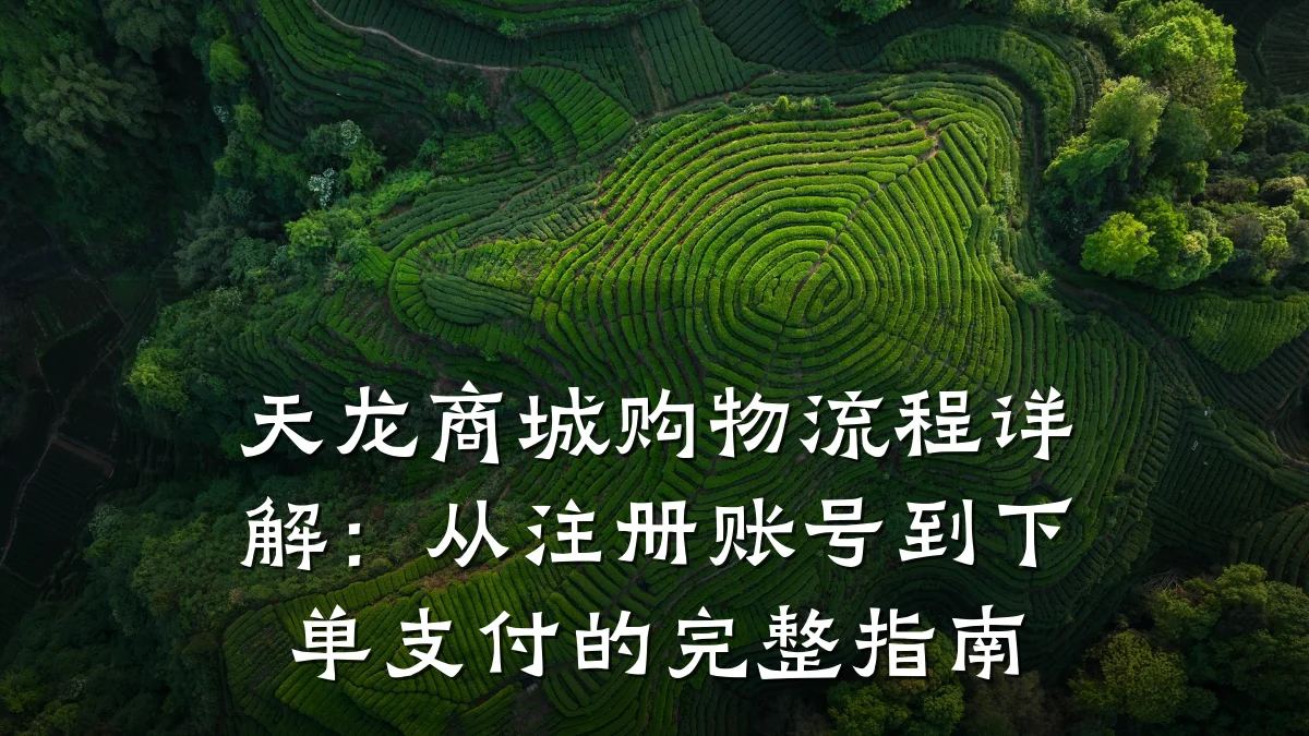 天龙商城购物流程详解:从注册账号到下单支付的完整指南